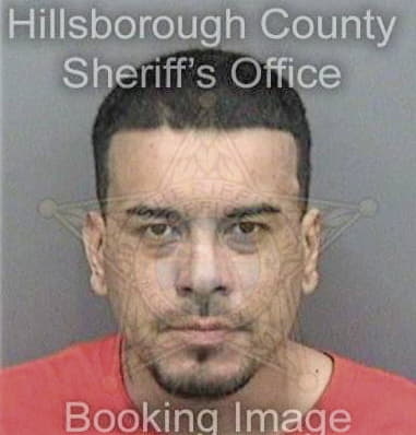 Anthony Carroll, - Hillsborough County, FL 