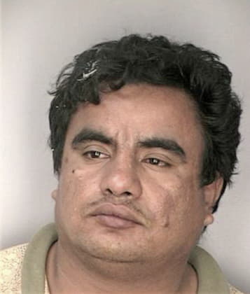 Miguel Hernandez - Hillsborough County, FL 
