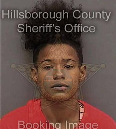 Tiffani Kinnebrew, - Hillsborough County, FL 