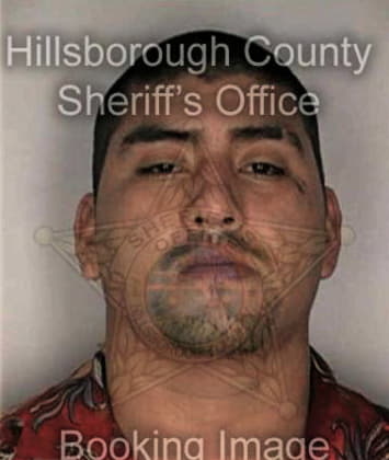 David Mills - Hillsborough County, FL 
