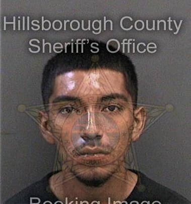 Michael Murnane, - Hillsborough County, FL 