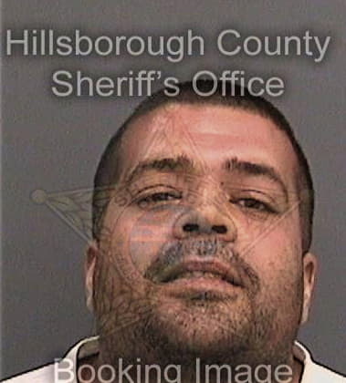 Igor Nelioubov, - Hillsborough County, FL 