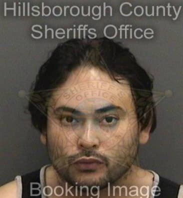 Michael Padilla, - Hillsborough County, FL 