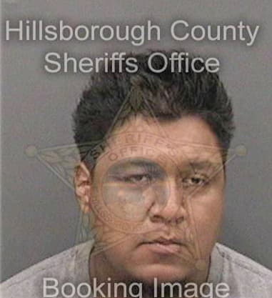 John Pecchiar, - Hillsborough County, FL 