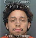 Iver Velazquezperez, - Pinellas County, FL 