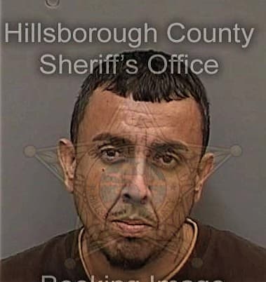 Ahmed Abuelenen, - Hillsborough County, FL 