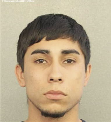 Anthony Dippolito, - Broward County, FL 