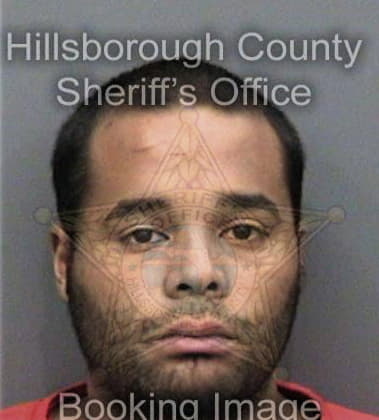 Federico Garribia, - Hillsborough County, FL 