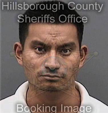 Andrew Messina - Hillsborough County, FL 