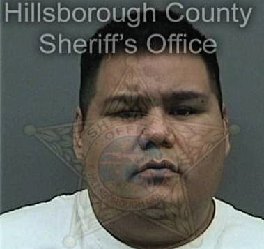 Devendra Surajpal, - Hillsborough County, FL 