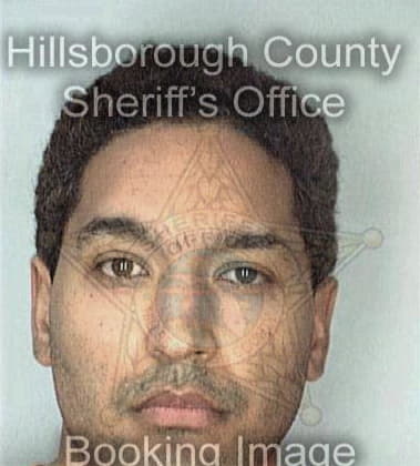 Alonza Williams - Hillsborough County, FL 
