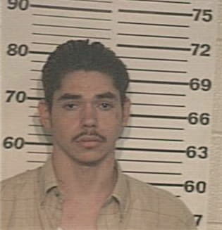 Domingo Castillo, - Hidalgo County, TX 