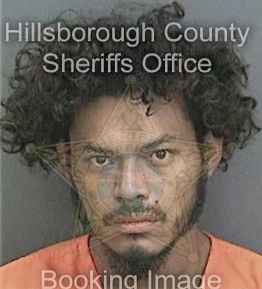 Vicente Castro, - Hillsborough County, FL 