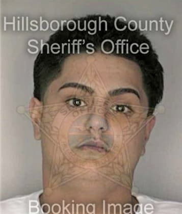 Fernando Flores, - Hillsborough County, FL 