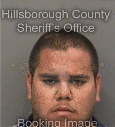 Seth Humphrey, - Hillsborough County, FL 