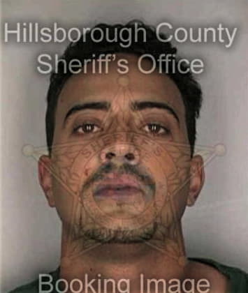 Aldolfo Mejiahernandez - Hillsborough County, FL 