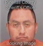 Carlos Patron-Merchan, - Pinellas County, FL 