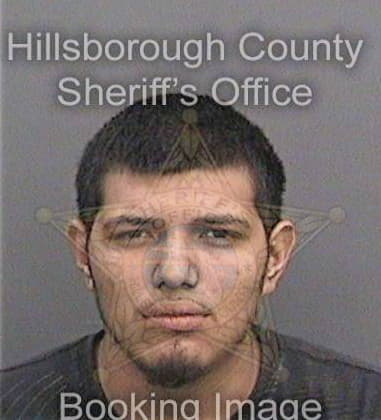 Andrew Stramel, - Hillsborough County, FL 