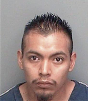 Jorge Torresgarcia, - Pinellas County, FL 