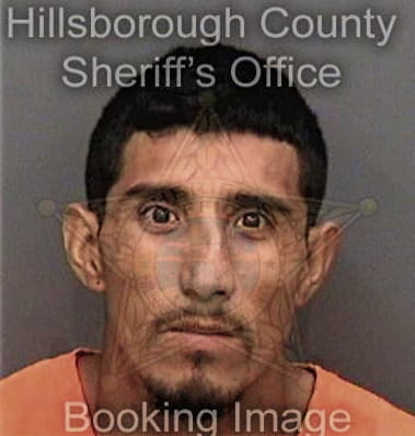 Adel Ahmad, - Hillsborough County, FL 