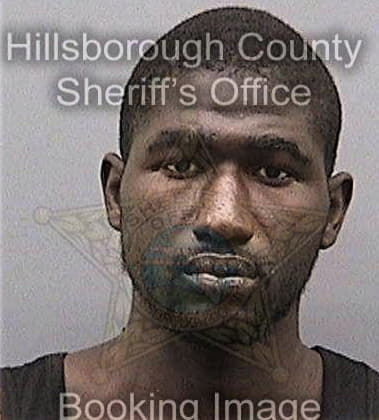 Unique Bisbee - Hillsborough County, FL 