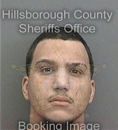 Peter Krenek, - Hillsborough County, FL 