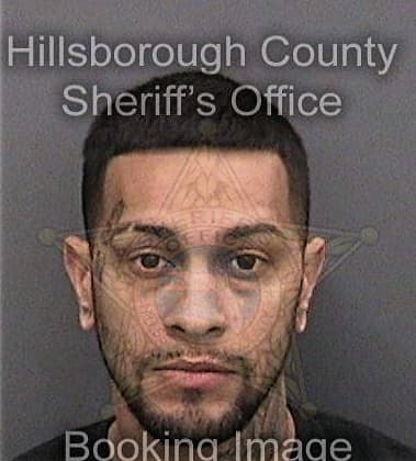 James Oconnell, - Hillsborough County, FL 