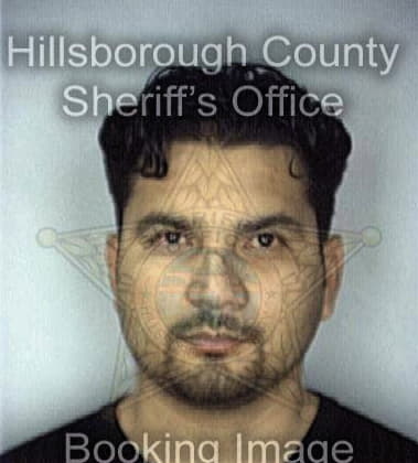 Jose Sanchezarvizu, - Hillsborough County, FL 