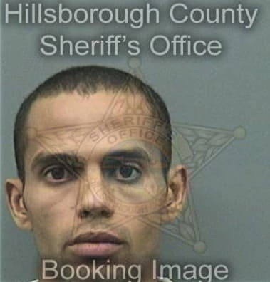 Phillip Spicer, - Hillsborough County, FL 