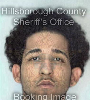 Raymond Trevino, - Hillsborough County, FL 