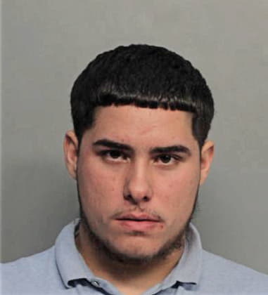 Michael Adel, - Dade County, FL 