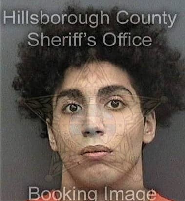 Brayan Bergeryguevara, - Hillsborough County, FL 