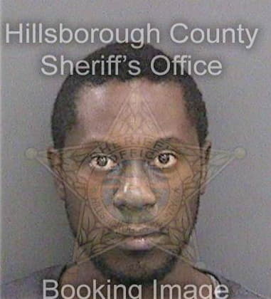 Steven Brand - Hillsborough County, FL 