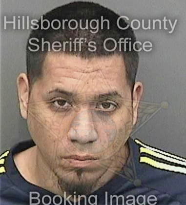 Eriberto Guzman, - Hillsborough County, FL 