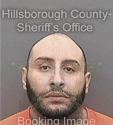 David Johnson, - Hillsborough County, FL 