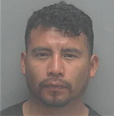 Elvis Perdomo-Lopez, - Lee County, FL 