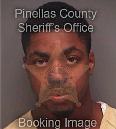 Joshua Roney, - Pinellas County, FL 