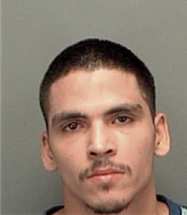 Jose Saucedo, - Pinellas County, FL 