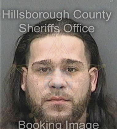 Mahesh Sewnarain, - Hillsborough County, FL 