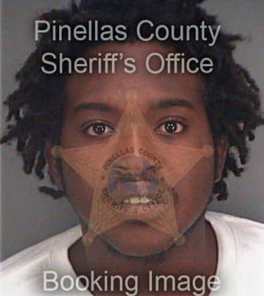 Davion Truewell, - Pinellas County, FL 