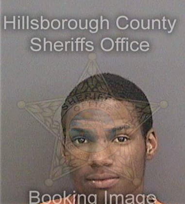Leroy Brim - Hillsborough County, FL 