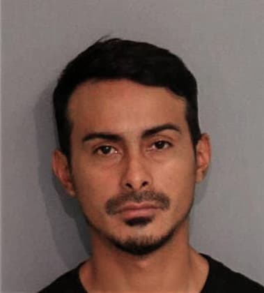 William Gregorio-Dasilva, - Osceola County, FL 