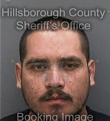 Santino Lagana, - Hillsborough County, FL 