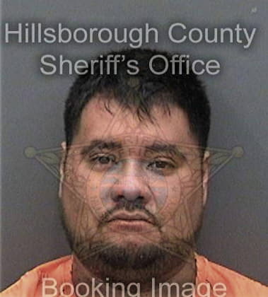 Kenneth Levidiotis, - Hillsborough County, FL 