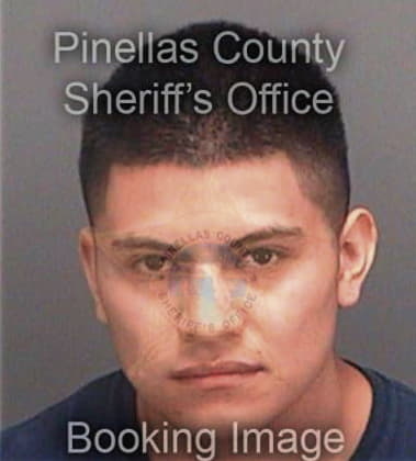 Alberto Maganaherrera, - Pinellas County, FL 