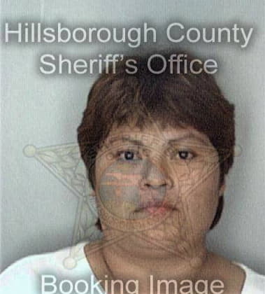 Lisa McIlwain - Hillsborough County, FL 
