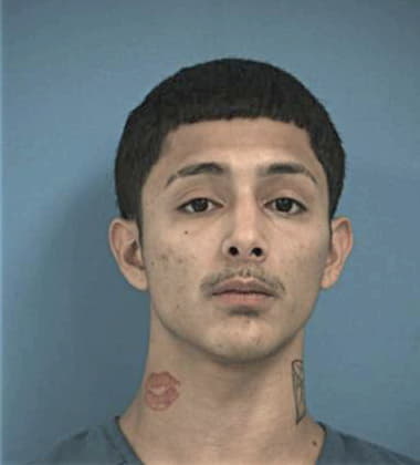 Ismael Araujo-Salazar, - Williamson County, TX 