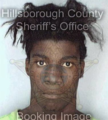 Aaron Brookins, - Hillsborough County, FL 