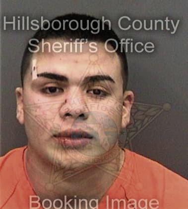 Ronald Caldas, - Hillsborough County, FL 