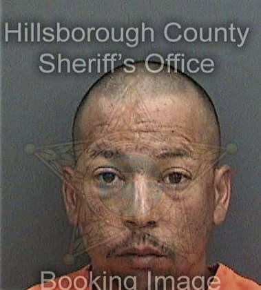 Brian Hignite, - Hillsborough County, FL 